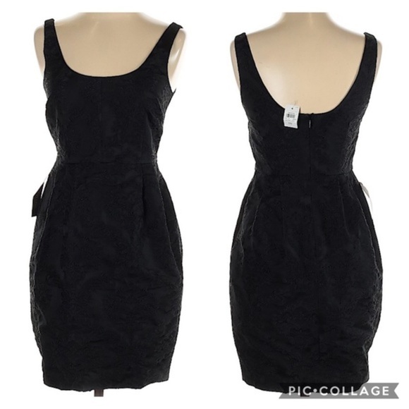 NWT Ann Taylor Sheath Floral Embroidered Dress - Picture 1 of 7